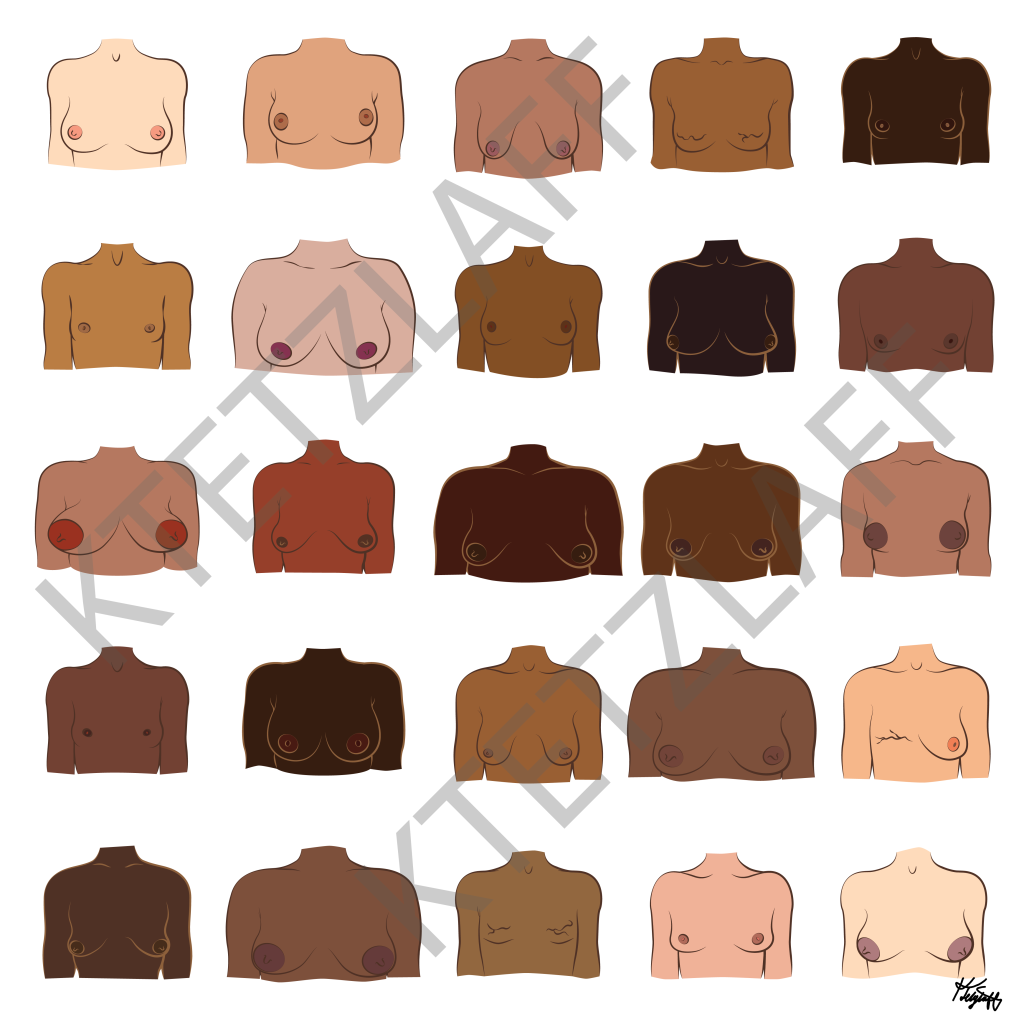 25 illustrations of different chests/breasts in many skin tones