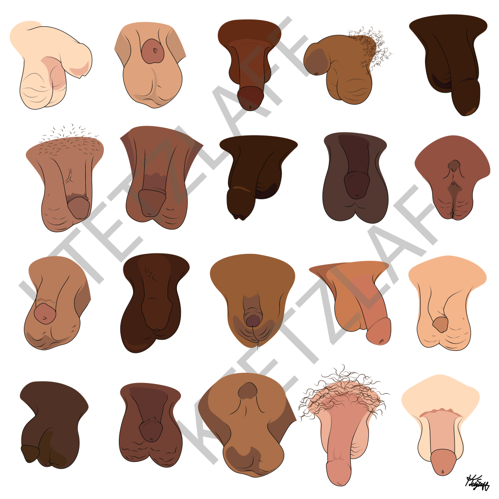 20 illustrations of different penises in many skin tones