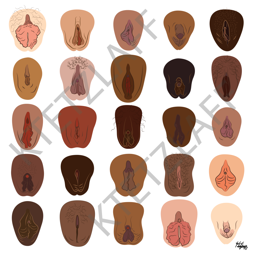 25 illustrations of different vulvas in many skin tones